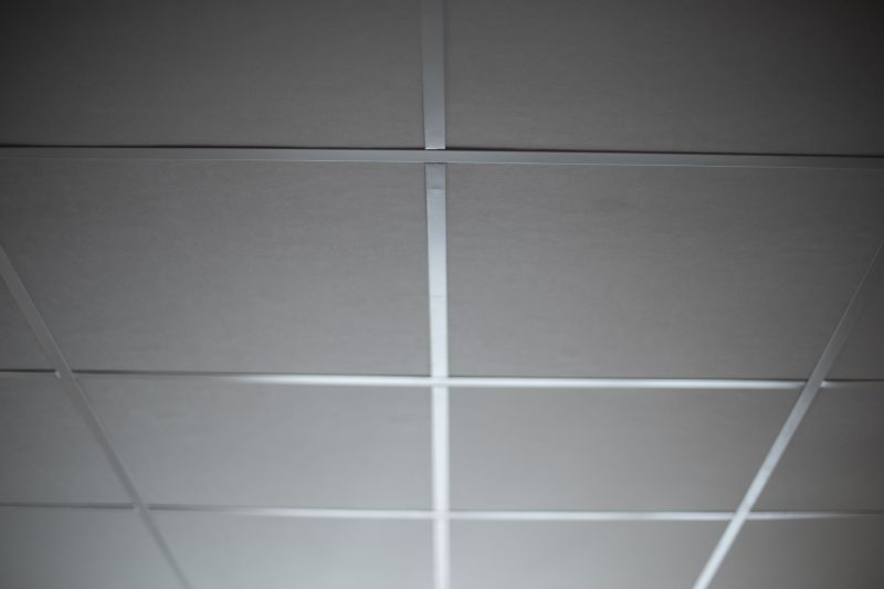 Acoustic Ceiling Repair