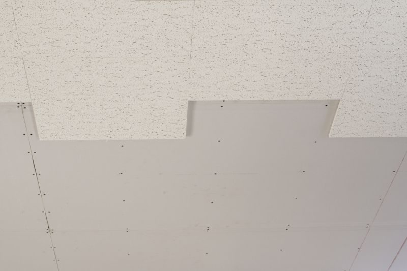 Acoustic Ceiling Repair