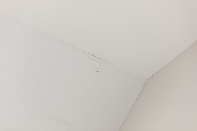 Damaged Acoustic Ceilings